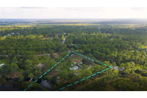 6885 ORCHID TREE DRIVE, GRANT, FL 32949 - MLS#MFRO6258816