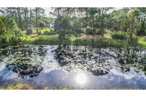 6885 ORCHID TREE DRIVE, GRANT, FL 32949 - MLS#MFRO6258816