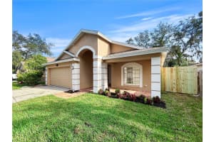 6806 SILVER BRANCH COURT, TAMPA, FL 33625 Sold 01/30/25