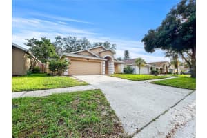 6806 SILVER BRANCH COURT, TAMPA, FL 33625 Sold 01/30/25