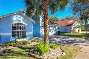 16146 EGRET HILL STREET, CLERMONT, FL 34714 Sold 02/13/25