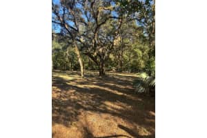 S COUNTY ROAD 13, ORLANDO, FL 32833 - MLS#MFRO6258977