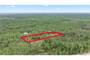 3983 SWAMP DEER ROAD, NEW SMYRNA BEACH, FL 32168 Sold 12/19/24