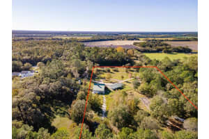 4195 COUNTY ROAD 305, BUNNELL, FL 32110 - MLS#MFRO6259671