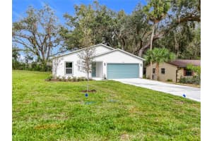 3825 PALM DRIVE, LEESBURG, FL 34748 Sold 02/04/25