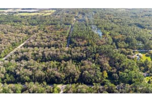 4125 EVERGREEN AVENUE, BUNNELL, FL 32110 - MLS#MFRO6259764