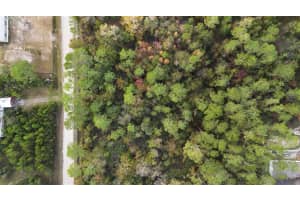 3911 EVERGREEN AVENUE, BUNNELL, FL 32110 - MLS#MFRO6259871