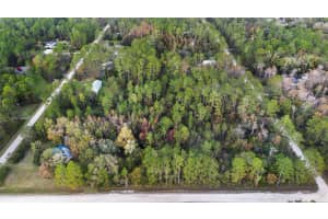 3911 EVERGREEN AVENUE, BUNNELL, FL 32110 - MLS#MFRO6259871