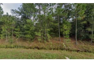 1435 TERN COURT, KISSIMMEE, FL 34759 Sold 06/20/25