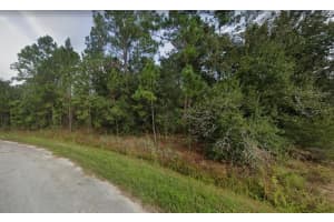 1435 TERN COURT, KISSIMMEE, FL 34759 Sold 06/20/25