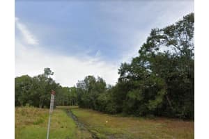 1439 TERN COURT, KISSIMMEE, FL 34759 Sold 06/20/25