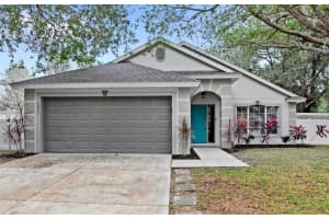 1011 VASSAR DRIVE, EUSTIS, FL 32726 Sold 01/31/25