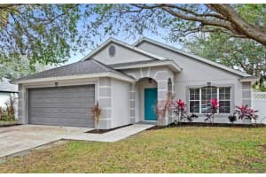 1011 VASSAR DRIVE, EUSTIS, FL 32726 Sold 01/31/25