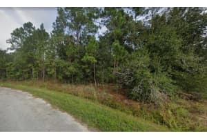 1441 TERN COURT, KISSIMMEE, FL 34759 Sold 06/20/25