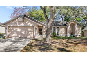 706 SATIN LEAF CIRCLE, OCOEE, FL 34761 Sold 12/27/24