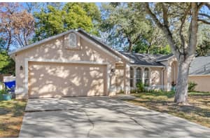 706 SATIN LEAF CIRCLE, OCOEE, FL 34761 Sold 12/27/24