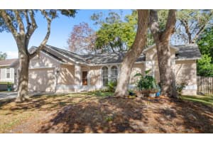 706 SATIN LEAF CIRCLE, OCOEE, FL 34761 Sold 12/27/24