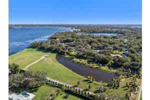 10948 DOWN PARK LANE, WINDERMERE, FL 34786 - MLS#MFRO6260000