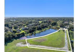 10948 DOWN PARK LANE, WINDERMERE, FL 34786 - MLS#MFRO6260000