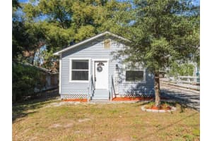 255 PINE AVENUE, MOUNT DORA, FL 32757 Sold 01/31/25