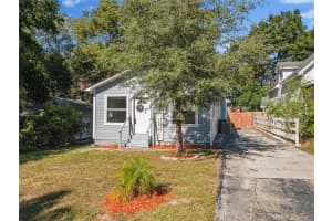 255 PINE AVENUE, MOUNT DORA, FL 32757 Sold 01/31/25