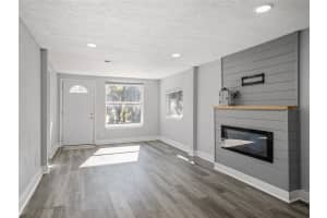 255 PINE AVENUE, MOUNT DORA, FL 32757 Sold 01/31/25