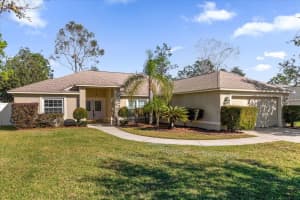 10233 SPRING MOSS AVENUE, CLERMONT, FL 34711 Sold 02/03/25