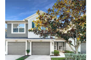 10241 SPANISH BREEZE COURT, RIVERVIEW, FL 33578 Sold 02/06/25