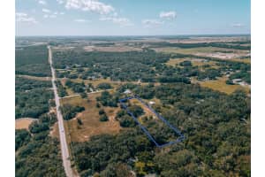 17144 PHIL C PETERS ROAD, WINTER GARDEN, FL 34787 - MLS#MFRO6260561