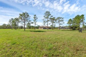 RALSTON ST, ORLANDO, FL 32833 Sold 03/19/25