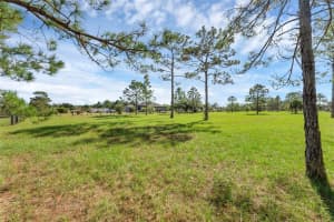RALSTON ST, ORLANDO, FL 32833 Sold 03/19/25