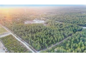 4521 GALLAGHER STREET, DUNNELLON, FL 34433 - MLS#MFRO6260669
