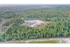 4521 GALLAGHER STREET, DUNNELLON, FL 34433 - MLS#MFRO6260669
