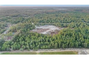 4521 GALLAGHER STREET, DUNNELLON, FL 34433 - MLS#MFRO6260669