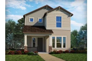 11940 Bracco St, WINTER GARDEN