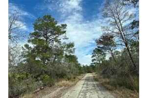 4508 BRIARCLIFF AVENUE, SEBRING, FL 33875 - MLS#MFRO6261303