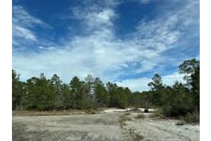 4508 BRIARCLIFF AVENUE, SEBRING, FL 33875 - MLS#MFRO6261303