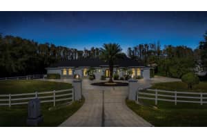 19147 QUINELLA STREET, ORLANDO, FL 32833 Sold 04/07/25