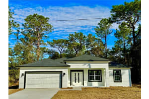 1523 CITRUS SPRINGS BOULEVARD, CITRUS SPRINGS, FL 34434 - MLS#MFRO6262061