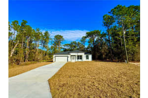 1523 CITRUS SPRINGS BOULEVARD, CITRUS SPRINGS, FL 34434 - MLS#MFRO6262061