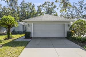 6018 SPRING CREEK COURT, MOUNT DORA, FL 32757 Sold 04/23/25