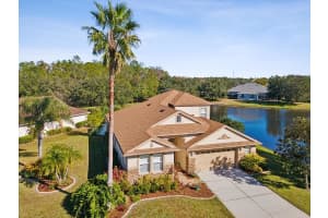 27236 EDENFIELD DRIVE, WESLEY CHAPEL, FL 33544 Sold 01/27/25