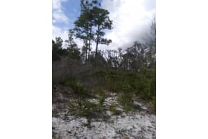 420 ANTHONY S WAY, SEBRING, FL 33875 Sold 01/08/25