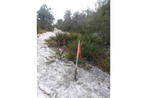 420 ANTHONY S WAY, SEBRING, FL 33875 Sold 01/08/25