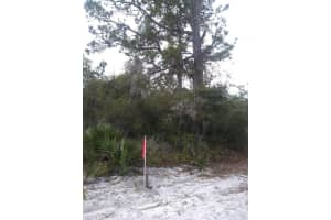 420 ANTHONY S WAY, SEBRING, FL 33875 Sold 01/08/25