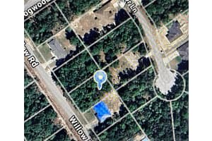 0 WILLOW ROAD, OCALA, FL 34472 Sold 01/09/25