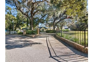 12995 BROLEMAN ROAD, ORLANDO, FL 32832 Sold 03/13/25