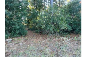 11910 MONICA DRIVE, DUNNELLON, FL 34433 Sold 01/02/25
