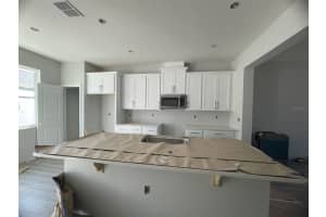727 PILEA STREET, APOPKA, FL 32703 Sold 05/01/25