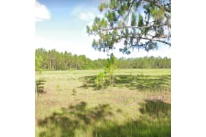 12367 SWEET HILL ROAD, POLK CITY, FL 33868 - MLS#MFRO6263412